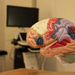 Praxis für Neurologie Professor Helmut Laufs Kiel – Kiel