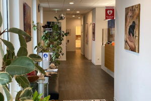 Praxisgemeinschaft Dr. Teltschik/ Jantzen-Haselmann/ Salleck - Neumarkt in der Oberpfalz 14 Praxisgemeinschaft Dr. Teltschik/ Jantzen-Haselmann/ Salleck – Neumarkt in der Oberpfalz