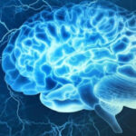 Praxis für Neurologie – Regensburg