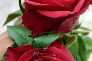 Neurologische Praxis Monika Richter, Neuwied - Neuwied 14 Neurologische Praxis Monika Richter, Neuwied – Neuwied