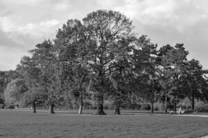 Neurologie am Rosental Dr. med. Sibylle Polzer - Leipzig 13 Neurologie am Rosental Dr. med. Sibylle Polzer – Leipzig
