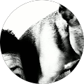 K S