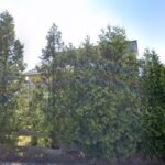 Neurologisches Versorgungszentrum Hochsauerland – Standort Sundern – Sundern (Sauerland)