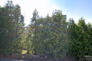 Neurologisches Versorgungszentrum Hochsauerland - Standort Sundern - Sundern (Sauerland) 6 Neurologisches Versorgungszentrum Hochsauerland – Standort Sundern – Sundern (Sauerland)