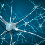 Neurologie Regenstauf – Roman Nester – Regenstauf