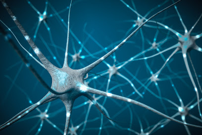 Neurologie Regenstauf - Roman Nester - Regenstauf 1 AF1QipMlFwOiMGHYUu NxjEcT5ljOtkknTuDX2uI5opOw408 h272 k no