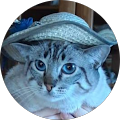 Mr Smoly