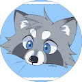 Aoi Raccoon
